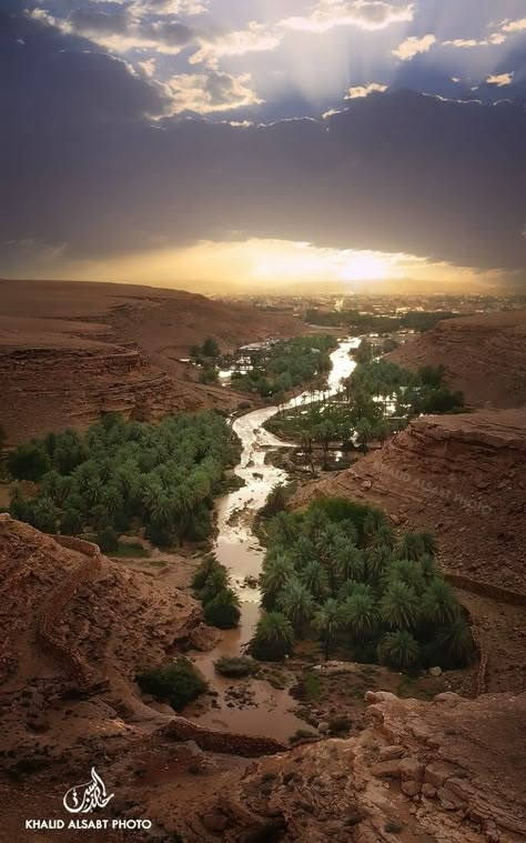 Saudi Arabia The Line City Saudi Arabia, Desert Saudi Arabia, Saudi Arabia Nature, Saudi Landscape, Saudi Arabia Photography, Saudi Arabia Landscape, Medina Saudi Arabia, Castle Floor Plan, Green Corridor