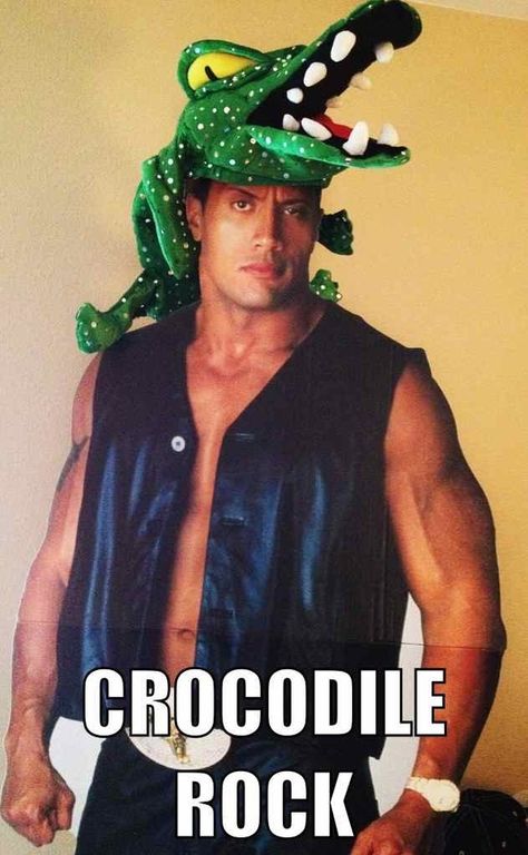 They made hilarious puns with it! | Someone Used A Cardboard Cutout Of The Rock To Make Some Really Hilarious And Totally Stupid Puns Crocodile Rock, Wwe Pictures, Classroom Quotes, Love Puns, Rock Johnson, The Rock Dwayne Johnson, Dwayne The Rock, Cardboard Cutout, Dwayne Johnson