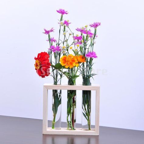 Test Tube Vase, Nice Flower, Terrarium Containers, Hanging Vases, Clear Vase, Test Tubes, Hanging Flower, Hanging Crystals, Hanging Flowers