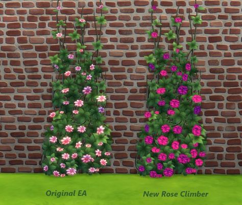 Mod The Sims: Rose Climber by Snowhaze • Sims 4 Downloads Wall Climbing Plants, Climber Plants, Wall Climbing, Climbing Flowers, Play Sims 4, Sims 4 Studio, Sims 4 Bedroom, Sims 4 Clutter, Pelo Sims