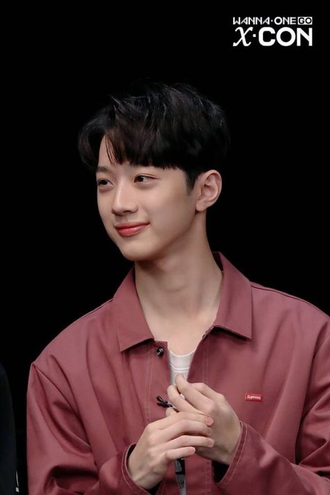 Nama Korea, Lai Kuanlin, Guan Lin, Lai Guanlin, Lai Kuan-lin, Bae Jin-young, Kim Jaehwan, Ha Sungwoon, Wanna One