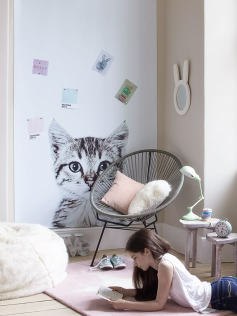 Cat Themed Bedroom, Cat Decor Bedroom, Cat Room Ideas, Statement Rugs, Hang Photos, Wallpaper Feature, Cat Bedroom, Impressive Wallpaper, Kids Bedroom Inspiration