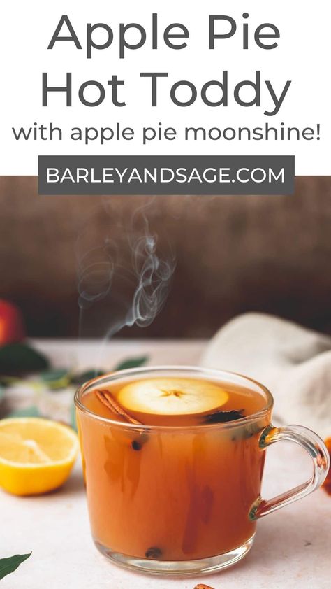 Apple Pie Hot Toddy Hot Toddy Recipe Brandy, Apple Pie Drink Alcohol, Moonshine Drink Recipes, Apple Pie Moonshine Drinks, Apple Pie Drink, Apple Pie Moonshine Recipe, Hot Toddy Recipe, Apple Pie Moonshine, Toddy Recipe