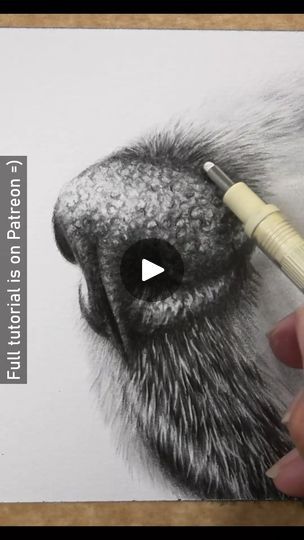 Drawing a dog nose in graphite | Another little study focusing on how to draw a dog nose in graphite :D. I like to focus on creating the 3D shape of the nose at the very first layer.... | By Zara's Pet Portraits & Wildlife ArtFacebook Drawing A Dog, Reactions Drawing, Draw A Dog, Dog Nose, 3d Shape, Dog Drawing, The Nose, Wildlife Art, Pet Portraits