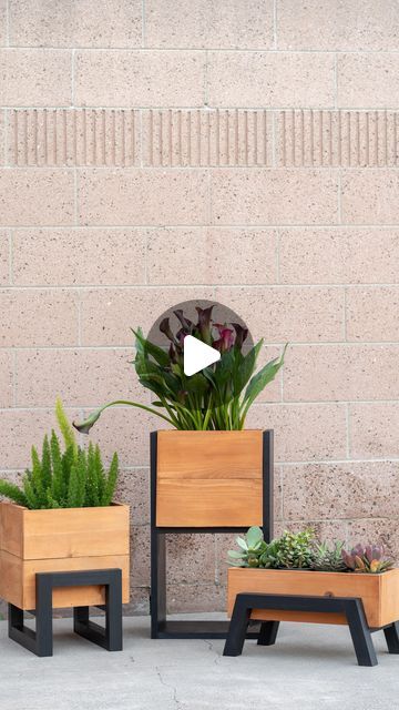 Anika Gandhi on Instagram: "✨THREE new plans for 🪴  Easy-to-build DIY modern planter boxes.  I’ve got the tutorial, video, and free plans for all of these for you.  Visit my website or YouTube channel and see the latest posts and video!  OR Comment “plans” and I will send you a link to all three directly to your DMs." Modern Planter Boxes, Diy Modern Planter, Modern Planter, Modern Planters, Free Plans, Modern Diy, Tutorial Video, Free Plan, Planter Boxes