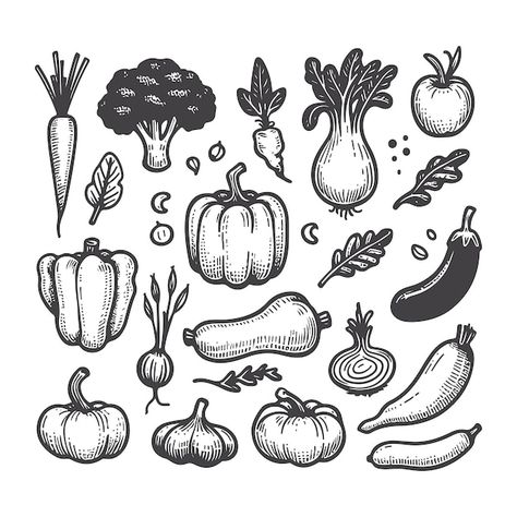 Hand Drawn Vegetable Illustrations A Collection of Fresh and Organic Art Vegetable Line Art, Veggies Drawing, Farm Sketch, Sketch Logo, Vegetable Drawing, Vegetable Illustration, Cooking Book, Design Apps, Apps Icon