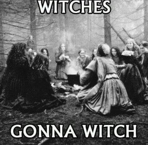 Witch Meme, Witch Humor, Witchy Humor, Pagan Spells, Pagan Spirituality, Witch Quotes, Oracle Card Reading, Eclectic Witch, Pagan Witch