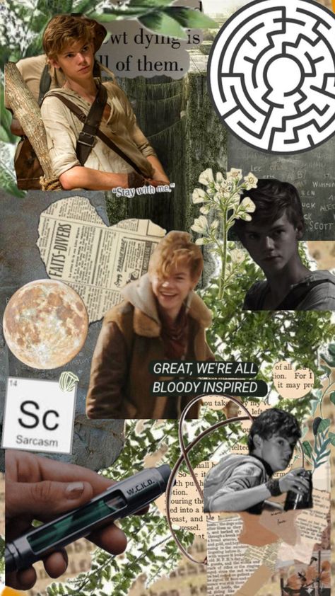 Newt Wallpaper, Maze Runner Wallpaper, Runner Wallpaper, Maze Runner Thomas, Maze Runner The Scorch, Maze Runner Imagines, Maze Runner Cast, Newt Maze Runner, Maze Runner Movie