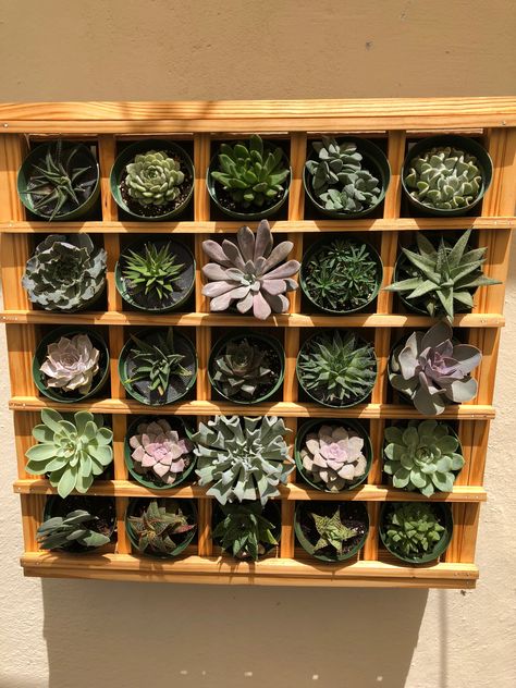 Succulent Pallet Wall, Succulent Wall Planter, Rooftop Terrace Design, Pallet Planter, Supermarket Design, Diy Raised Garden, Pallet Wall, Succulent Wall, Terrace Design