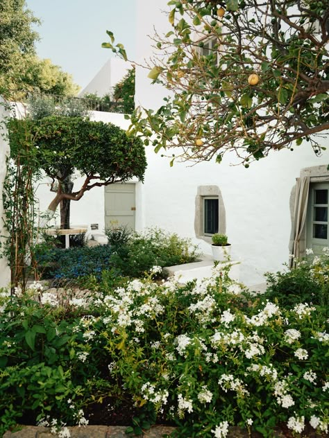 Corfu House, Patmos Greece, Magical Backyard, Greek Garden, Fall Of Constantinople, Greek Villa, Greek Home, Mediterranean Gardens, Dodecanese Islands