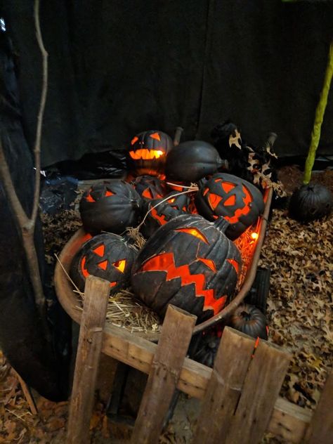 Haunted Pumpkin Patch, Halloween Haunted House Diy, Halloween Diy Outdoor, Halloween Outside, Halloween Props Diy, Creepy Halloween Decorations, Halloween Decorations Diy Outdoor, Primitive Halloween, Halloween Yard Decorations