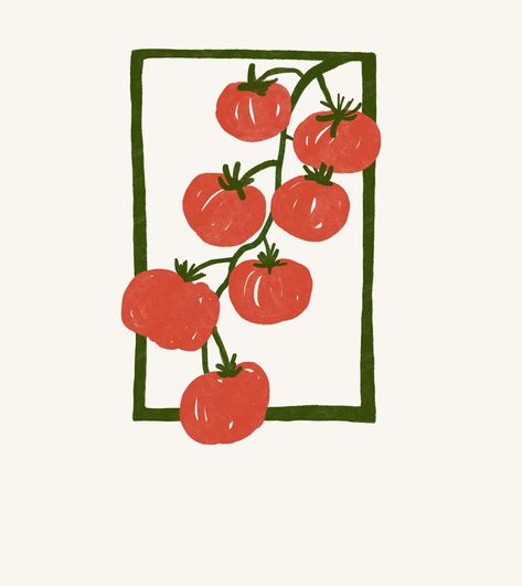 Tomato Vine Illustration, Vintage Tomato Illustration, Cherry Tomato Illustration, Tomato Illustration Graphics, Tomato Plant Illustration, Tomato Drawings, Tomato Plant Drawing, Tomato Doodle, Tomato Sketch