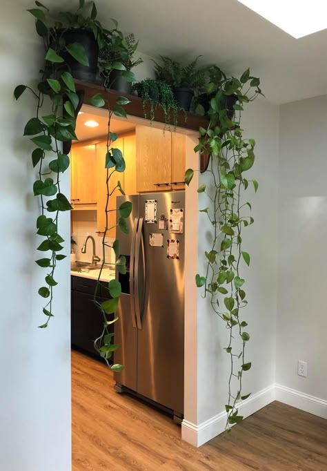 Plant Wood Wall, Greenery In Apartment, Plants On Refrigerator, Jungle Kitchen Ideas, 1 Room Apartment Ideas, Plant Hanging Ideas, Plants Home Decor, Dream Apartment Decor, Plant Decor Indoor