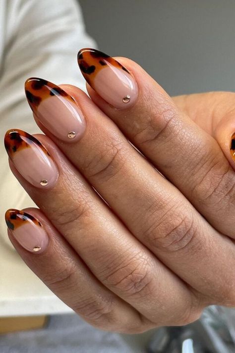 fall nail trends Short Square Nail Inspo 2024, Acrylic Claws, Shellac Nails Fall, Paznokcie Hello Kitty, Almond Gel Nails, Kutek Disney, Maroon Nails, September Nails, Fall Nail Trends