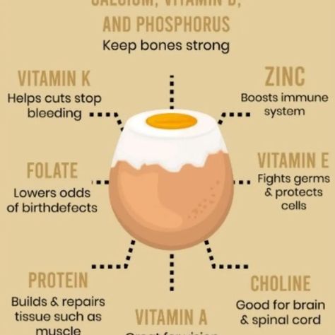 Yoga benefits Benefits Of Eggs, Egg Benefits, Brain Tissue, Boost Immune System, Spinal Cord, Vitamin K, Yoga Benefits, Vitamin D, The Natural