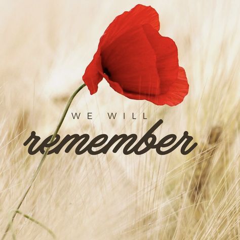 Rememberence Day Quotes, Remembrance Day Images Canada, Remembrance Day Images, Remembrance Day Photos, Remembrance Day Pictures, Remembrance Day Quotes, Remembrance Quotes, Lets We Forget, Firefighter Life