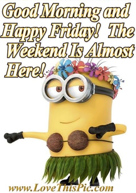 Good Morning Happy Friday quotes friday happy friday tgif minions good morning friday quotes friday quote funny friday quotes quotes about friday Minion Dance, Minion Stickers, Minion Mayhem, Minion Characters, Friday Images, Film Trailer, Good Morning Happy Friday, Good Morning Friday, Happy Friday Quotes