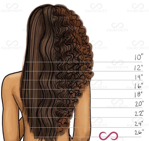 Growth chart Bangs Chart, Types Of Bangs Chart, 3c Curls, Official Hairstyle, Types Of Bangs, Hairstylist Quotes, Hair Goal, Lumpy Space, Hair Length Chart