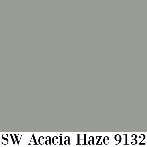 Sherwin-Williams Acacia Haze 9132 paint color swatch.. #greenpaintcolors #sagegreen Acacia Haze Sherwin Williams, Sherwin Williams Acacia Haze, Acacia Haze, Paint Color Swatches, Blue Gray Paint, Farmhouse Paint, Burning Fire, Green Paint Colors, Grey Paint Colors