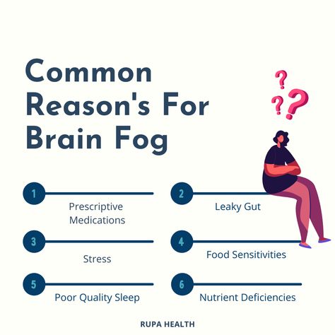 Brain Healthy Foods, Too Much Estrogen, Lack Of Focus, Brain Connections, Nutrient Deficiency, Attention Deficit, Improve Cognitive Function, Leaky Gut, Brain Fog