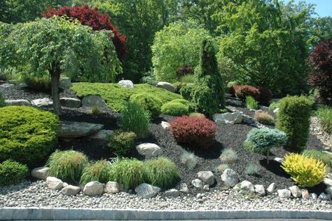 READER PHOTOS! Mike and Sheila's garden in New York State | Fine Gardening Backyard Hill Landscaping, Small Front Garden Ideas, Conifers Garden, Small Front Gardens, Front Gardens, Rock Garden Design, Front Garden Design, Hillside Landscaping, Grasses Landscaping