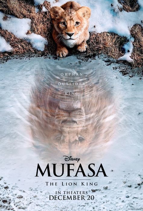 Lion King Poster, Fame Dr, The Lion King, Movie Photo, The Lion, Lion King, The Outsiders, Lion, Disney