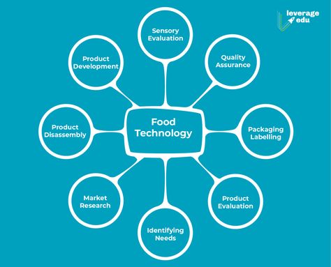 Food Technology Food Product Development Ideas, Food Product Development, Studying Food, Food Tech, Food Technology, New Product Development, Top Colleges, Food Science, Top Universities