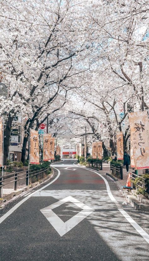 Chill Place, City Sidewalk, Spring Scenery, Nature Tourism, Photo Dream, Animation Quotes, Japan Landscape, Japanese Photography, Dreamy Photography