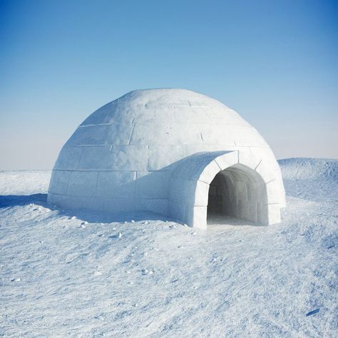 See Think Wonder, Igloo House, Igloo Ice, Snow Fort, Pole Nord, Ice Houses, Snow Fun, Ice Sculptures, Winter Aesthetic