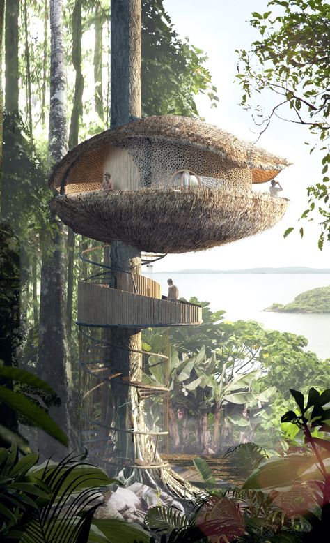 Biku Treehouse in Bocas del Toro, Panama|Hotel Jungle Nature, Silo House, Eco Resort, Cool Tree Houses, Eco Hotel, Eco Architecture, Tree House Designs, Nature Architecture, Green Architecture