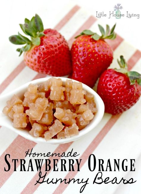 Looking for a wonderful naturally sweetened nutritious Gummy Bears recipe? You are going to love this recipe for Strawberry Orange Healthy Homemade Fruit Snacks. #orangegummies #gummyrecipe Orange Gummies, Gummy Bear Recipe, Homemade Gummy Bears, Homemade Fruit Snacks, Homemade Gummies, Gummies Recipe, Bear Recipes, Summer Snacks, Homemade Snacks