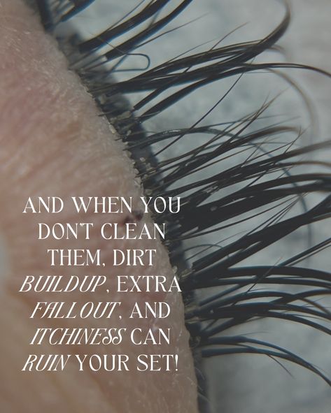 ‼️I SAID WHAT I SAID 😬 & before you starttt… 🫠Lashes aren’t a low-maintenance service — after your appointment, washing your lashes every day is crucial to maintaining your lash health. 🫢sometimes I’ve noticed that clients who don’t have a regular skincare routine often forget to wash their lashes too. That leads to more fallout, itchiness, and dirt buildup, which means your beautiful lash set won’t last as long as it should. 💯I know, it sucks seeing your investment not holding up the w... I Said What I Said, Beautiful Lashes, I Know It, Say What, Low Maintenance, I Said, Skincare Routine, Fallout, Investment