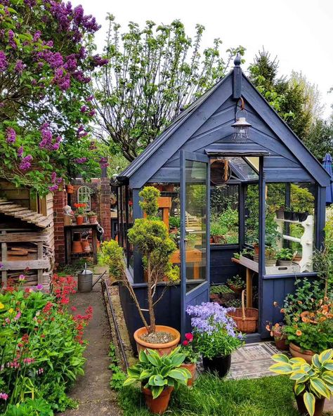 Greenhouse In Front Yard, Garden Sheds Ideas, Cottage Garden Ideas, Dreamy Cottage, Cottage Garden Sheds, Orchard Design, Backyard Tent, Backyard Farm, Dreamy Garden