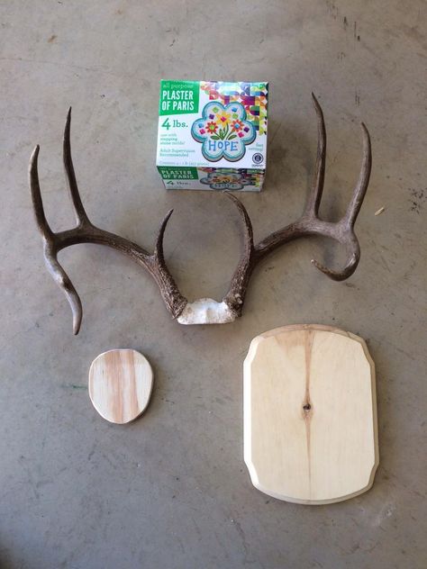 DIY Antler Plaque Project (Pic Heavy) | TexAgs Mounting Deer Antlers Diy, Diy Deer Antler Mount, Antler Diy Projects, Deer Antler Mount Ideas, Diy Antler Projects, Antler Mount Ideas, Deer Antlers Diy, Deer Antler Diy, Diy Deer Antlers