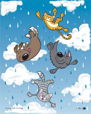 STORYWRAPS: It's Raining Cats and Dogs! - a musicwrap It's Raining Cats And Dogs, Buddha Doodle, Going To Rain, Rain Rain, Sonic Funny, Raining Cats And Dogs, Dog Crafts, It's Raining, Cat Hat