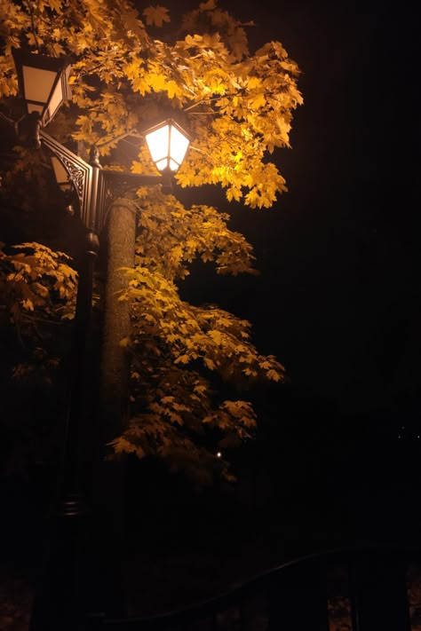 Autumn In The City, Autumn Park, Maple Leaves, Street Light, The City, Yellow