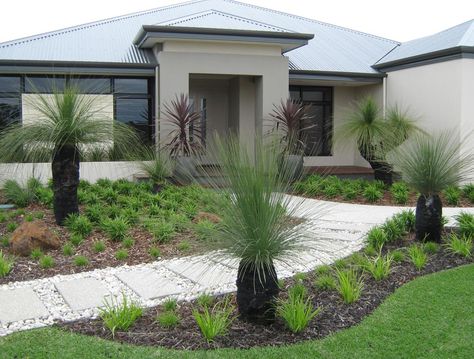 Grass trees with native grasses Garden Ideas Australia, Australian Landscaping, Front Yards Diy, Low Maintenance Landscaping Front Yard, Beautiful Gardens Landscape, Grass Tree, Australian Native Garden, Modern Front Yard, Front Gardens