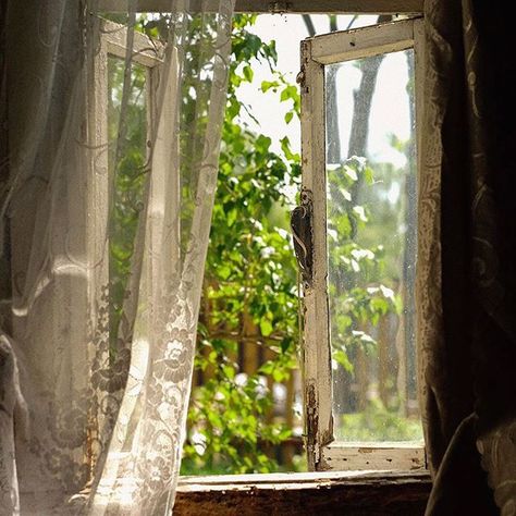 Vintage Italy, Lace Curtains, Cottagecore Aesthetic, Window View, Spring Aesthetic, Room Makeover Inspiration, Open Window, Yellow Leaves, Through The Window