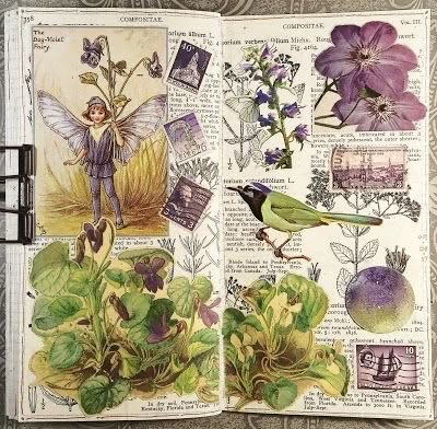 Constance Rose, Nature Diary, Kunst Collages, Sketchbook Spread, Kunstjournal Inspiration, Sketchbook Layout, Collage Journal, Gcse Art Sketchbook, Biology Art