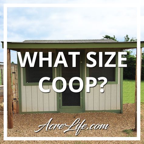 Chicken Coop Plans With Storage, Chicken Coop Plans For 40 Chickens, Diy Chicken Coop 6 Chickens, Chicken Coop For 6 Hens Diy, Chicken Coop Off Ground, Simple Walk In Chicken Coop, Free Diy Chicken Coop Plans Easy, Chicken Coop For 100 Chickens, Basic Chicken Coop Plans