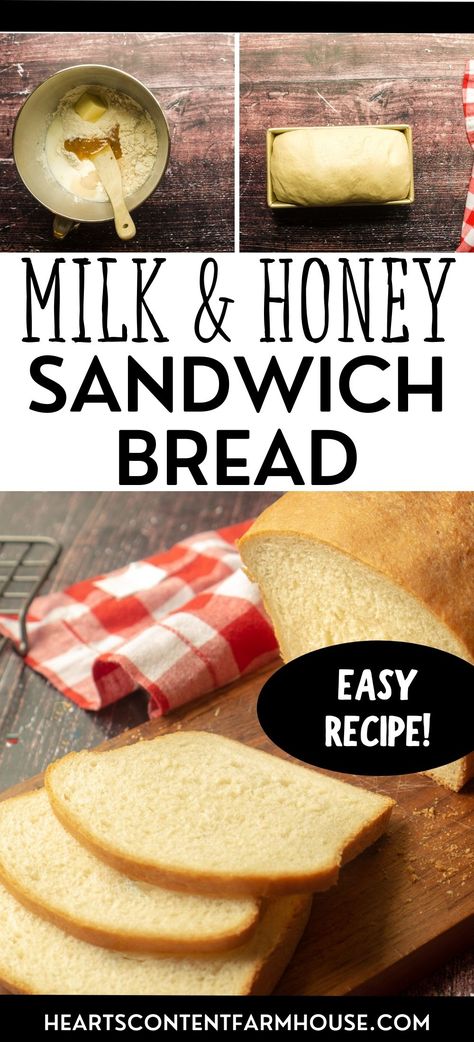 Honey White Sandwich Bread, Homemade Honey Sandwich Bread, Buttermilk Sandwich Bread, Sandwich Bread Recipe Honey, Homemade Bread With Honey, Homemade Honey Bread Recipes, Honey Buttermilk Bread Recipe, Moist Sandwich Bread Recipe, Milk And Honey Bread Recipe