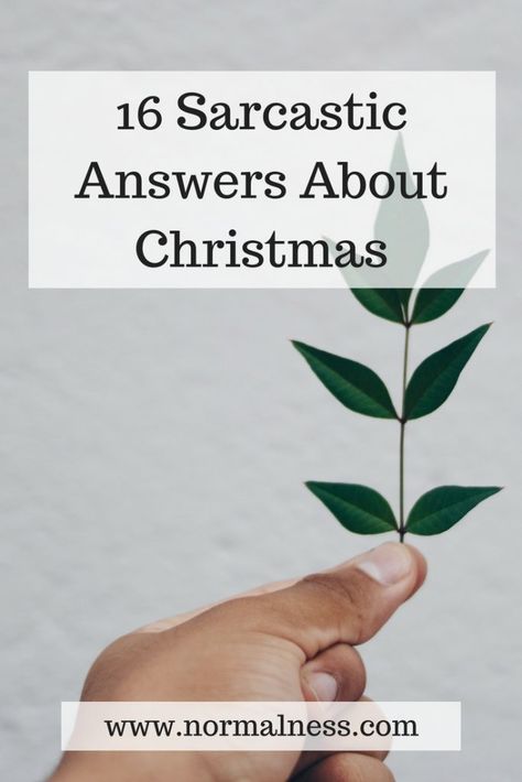 16 Sarcastic Answers About Christmas Christmas Sarcasm, Sarcastic Christmas Humor, Sarcastic Christmas Quotes, Sassy Christmas Sayings, Christmas Spirit Meme Funny, Sarcastic Christmas, Christmas Tress, Santa Memes Funny, Christmas Quotes