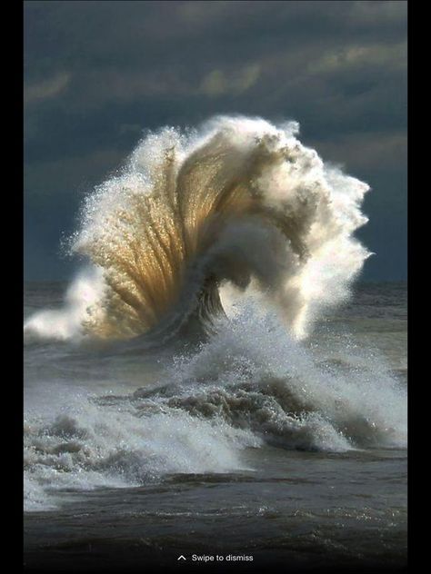 Wave Crashing, Perfectly Timed Photos, Science And Nature, Beautiful Photography, Amazing Nature, White Photography, Nature Pictures, Nature Photos, Nature Beauty