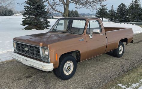 Bob Seger Songs, 1973 Chevy Truck, 1979 Chevy Truck, Vintage Chevy Trucks, Truck Pictures, Panel Truck, Bob Seger, Chevrolet C10, Like A Rock