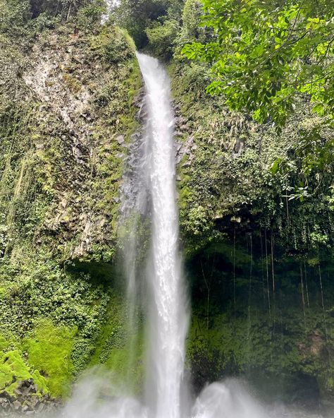 Inspiration of the week: Arenal Volcano waterfall Arenal Volcano, Costa Rica. January 2024 #traveladventures #exploringourworld #inspiredbynature #costarica #CostaRica2024 #costaricapuravida #arenal #arenalvolcano #arenalvolcano🌋 #costaricaadventures Costa Rica Adventures, Arenal Volcano, January 2024, Our World, Volcano, Costa Rica, Nature Inspiration, Quick Saves