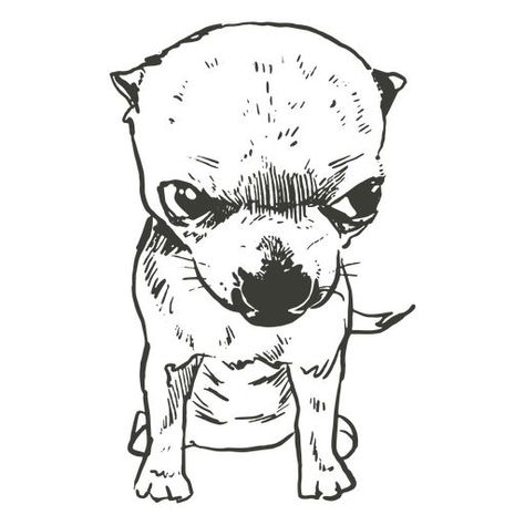 Angry chihuahua hand drawn PNG Design Chihuahua Drawing Cartoon, Chiwawa Drawings, Chihuahua Doodle, Chihuahua Sketch, Angry Chihuahua, Chihuahua Drawing, Chihuahua Tattoo, Chihuahua Art, Graphic Shirt Design