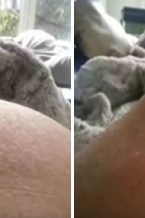 Pregnant Woman's Video Of Baby's Extreme Movements In Belly Called 'Extremely Unusual' By Doctor Pregnancy Bump, Baby Gif, Pregnant Women, Bump