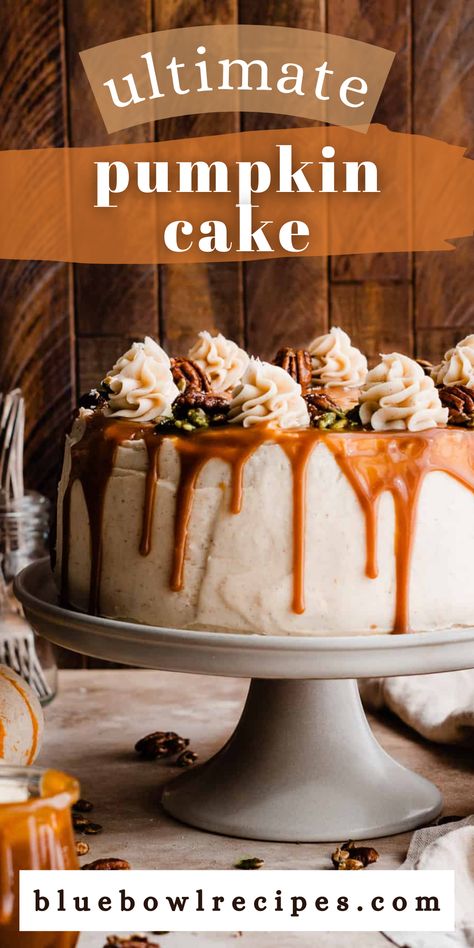 Stick-to-your-fork moist layers of one-bowl spiced pumpkin cake are filled with Cinnamon Cream Cheese Frosting, Salted Caramel Sauce, and Candied Cinnamon Pecans & Pepitas. This show stopping dessert is perfect for Thanksgiving, Halloween, or any fall celebration! #pumpkincake #halloweencake #thanksgivingcake #thanksgivingdessert #layercake #pumpkinspice #saltedcaramel #caramel #pecan #pumpkindesserts #pumpkin #fallbaking #fallcake #falldesserts #bluebowlrecipes | bluebowlrecipes.com Pumpkin Caramel Layer Cake, Pumpkin Salted Caramel Cake, 3 Layer Pumpkin Cake, Salted Caramel Pumpkin Cake, Caramel Pumpkin Cake, Pumpkin Pecan Cake, Fall Flavored Cakes, Layered Pumpkin Cake, Fall Cake Flavors