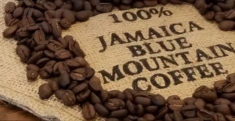 Coffee Landscape, Jamaican Coffee, Jamaican Blue Mountain Coffee, Coffee Market, Future Islands, Blue Mountain Coffee, Mountain Coffee, Coffee Varieties, Coffee Stands