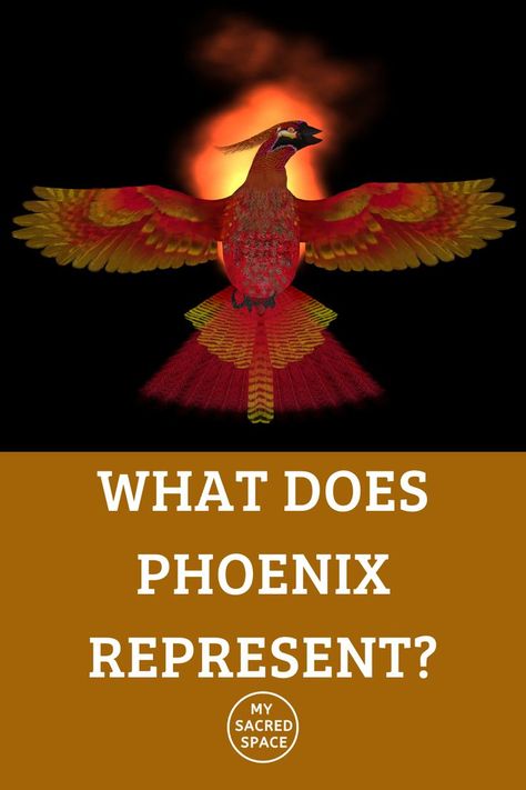 How can one know What Phoenix Means and What Does Phoenix Represent? Phoenix is a powerful symbol from our collective unconscious and how we can understand its messages for us. #phoenixspiritanimalmeaning #phoenixspirit #phoenixspiritualmeaning #phoenixspiritguide #phoenixspiritart #phoenixspiritanimalart #phoenixspiritanimaltatoo Phoenix Animal, Collective Unconscious, Spirit Animal Meaning, Spirit Animal Art, Animal Guides, Spirited Art, Spiritual Meaning, Spirit Guides, Sacred Space